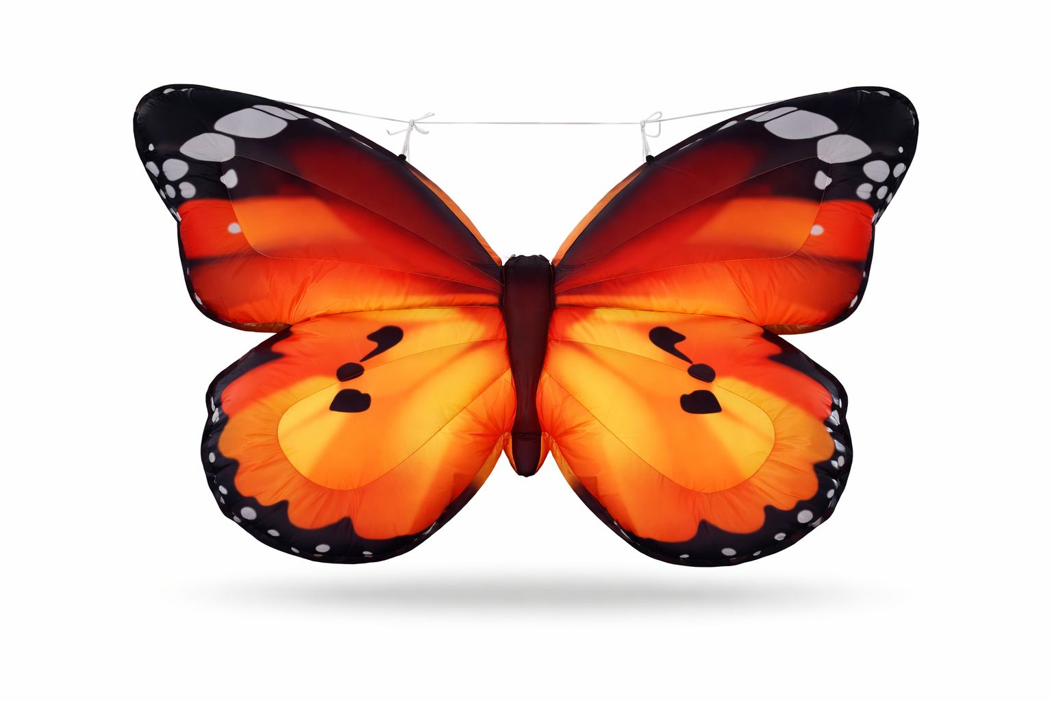 Mariposa naranja